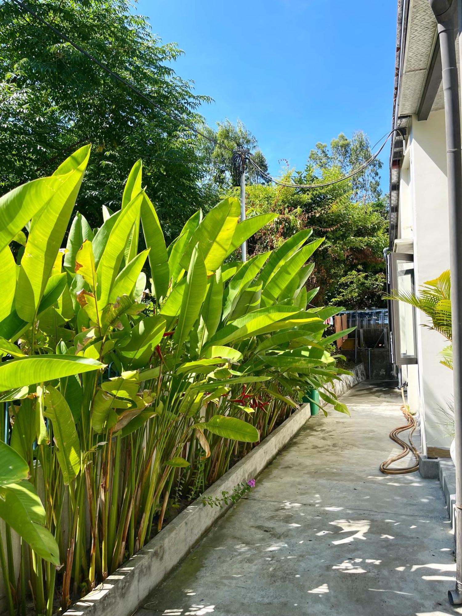 Crest House Beachside - Three-Bedroom Private House On Cham Island Hoi An Tân Hiệ Εξωτερικό φωτογραφία